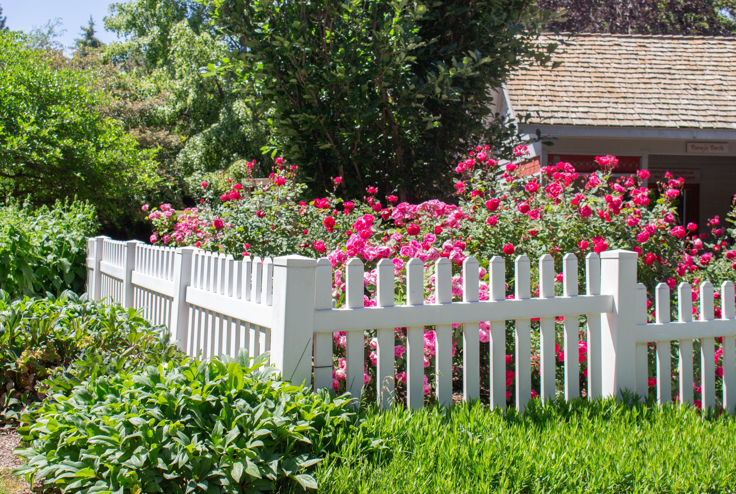 Floral Shears Showdown: Comparing 3 Popular Tools for Floral Design